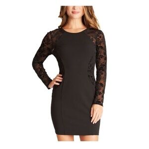 Elegant Black Lace Sleeve Dress
